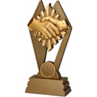 Los mejores  - tecnocoppe Trofeo - Trofeo para premiación de la amistad estrecha de la mano- 17-50 cm de altura- placa personalizada de…